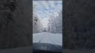 Сибирская зима в Латвии