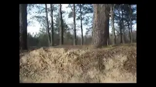 Будапештский плацдарм 2