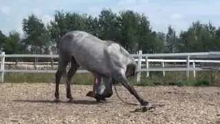 Клео и Аня