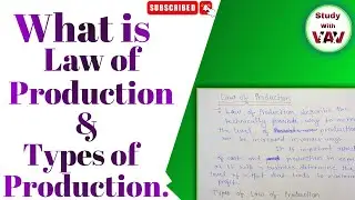 What is Law of Production Function||Types of Law of Production||In Business Economics||In Hindi||