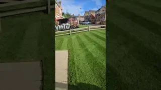Morning lawn motivation