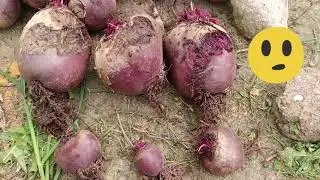 Продолжаем экспериментировать