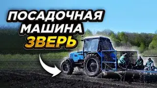 Secret for 1,000,000 rubles. Planting seedlings in the nursery Venev