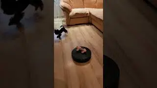 Наша малыха😊😜🤟