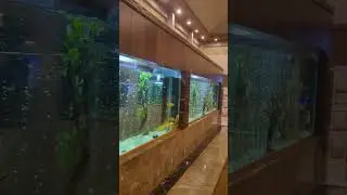 Холл отеля. 5 звёзд #travel #hotel #beautiful
