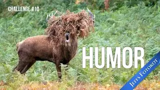 Challenge #10: Humor