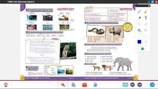 Discovery Island 5 Unit 7 Lesson 3 vocabulary animal body parts