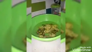 Fermentación butírica, acética y láctica en casa.