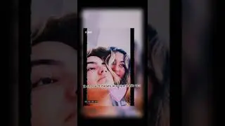 amo (1)