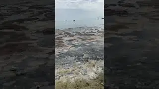 Прибрежная территория возле яхт-клуба Актау