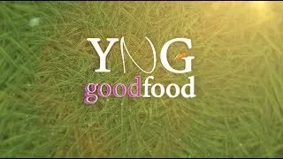 Good food | Диеты и 
