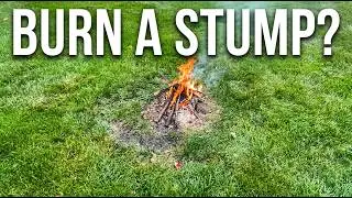Can You Get Rid Of A Stump By Burning It?