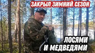 Закрыл ЗИМНИЙ сезон. ЛОСИ, МЕДВЕДИ на ПУТИ.