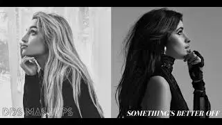 something's better off - Ariana Grande (feat. Camila Cabello)