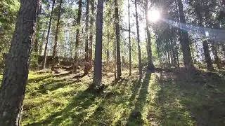 Огромная Воронка.