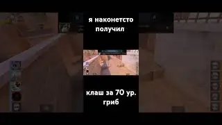 получил колаш за 70 ур.