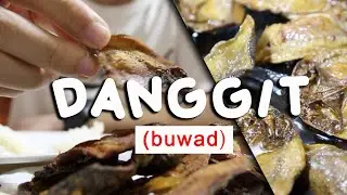 DANGGIT (buwad)