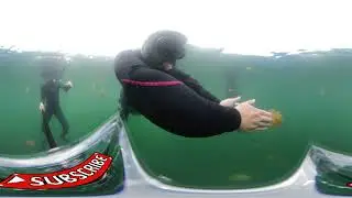 [360' VR] 팔라우 젤리피쉬 레이크 스노클링 (Snorkeling at Jellyfish Lake, Palau)