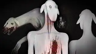 ESSA COISA NÃO É UM CACHORRO