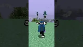 Old Minecraft SUCKS 