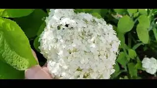 Спасо-Прилуцкий мужской монастырь.