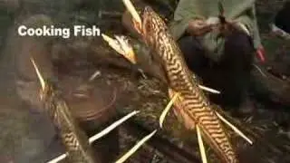 AZ of Bushcraft (E for Edible wild food)