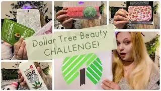 $20 Dollar Tree ✨BEAUTY✨ CHALLENGE!