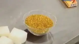 Лечебные свойства пчелиной пыльцы