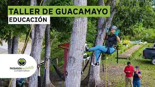 TALLER ESCALADA - ARA PANAMÁ