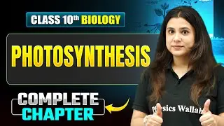PHOTOSYNTHESIS Complete Chapter | Most Important Concepts + Questions | ICSE Class 10 Biology