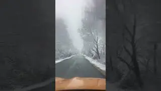 Зима на полном приводе