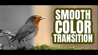 smooth color transition