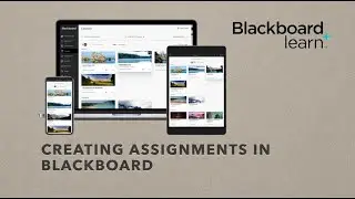 Creating an Assignment in Blackboard