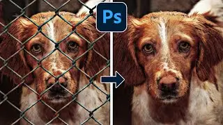 Fence Removal | The Best Methods Compared | Photoshop Tutorial German