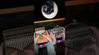 Jaxomy x Agatino Romero x Raffaella Carra – Pedro (kalimba looping cover by VISKO)