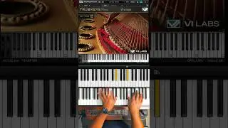 VI Labs True Keys Piano German D