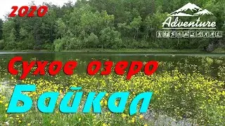 Сухое озеро. Большое Голоустное. Байкал 2020