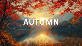 Beautiful Relaxing Music - Stop Overthinking, Stress Relief Music, Sleep Music, Calming Music