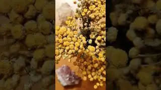 ОТПУСТИЛ ЛИ ОН ВАС? / Таро онлайн расклад