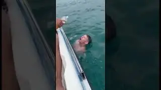 Прикормка кабана