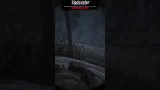 RDO PvP: Don't Forget to Clean Your Guns! #shorts