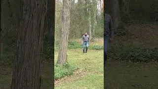 Deep in the woods...