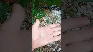град Хмельницкая область. фундук Ламберта.