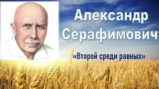 «160 лет со дня рождения А.С. Серафимовича»