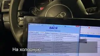 1,9 tdi колбасит на хх. Старая форсунка