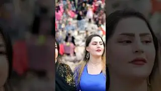 #halparke