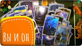 Вы и он