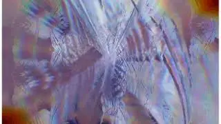 Hot Beat Transition | Hot girl | Beat Transition