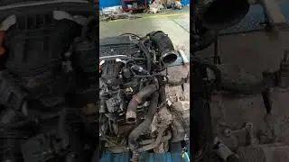 Пежо 5008. Жарко у нас тут, не выдерживают машины 😂