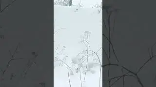 4 мая 2024 г.